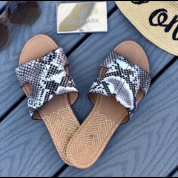 NAGINI Snake Print Flats! - Picture 3 of 5